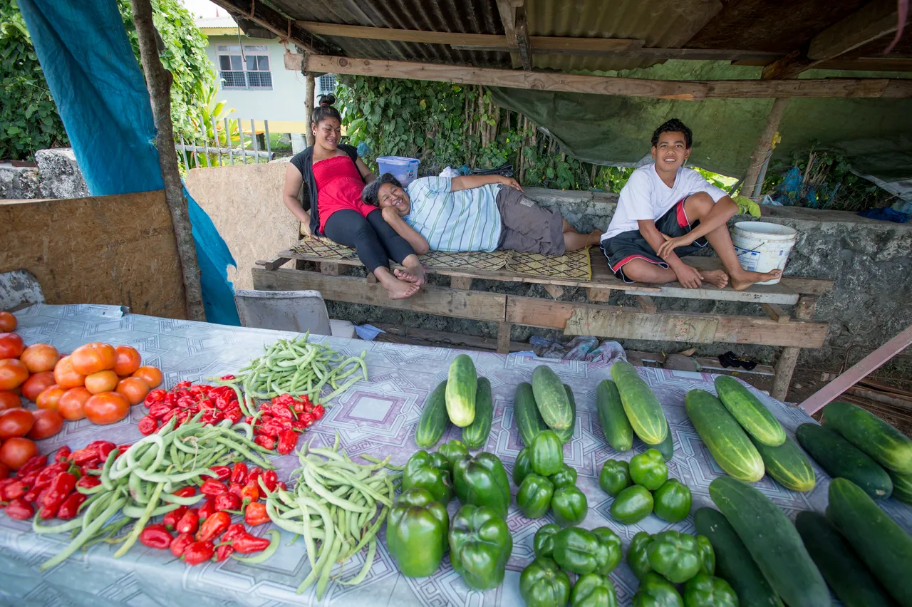 SPTO(TONGA)_026_DK_2013