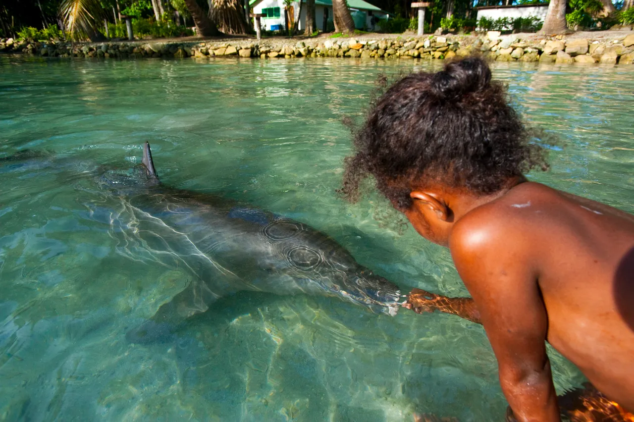 SPTO(SOLOMONS)_035_DK_2013