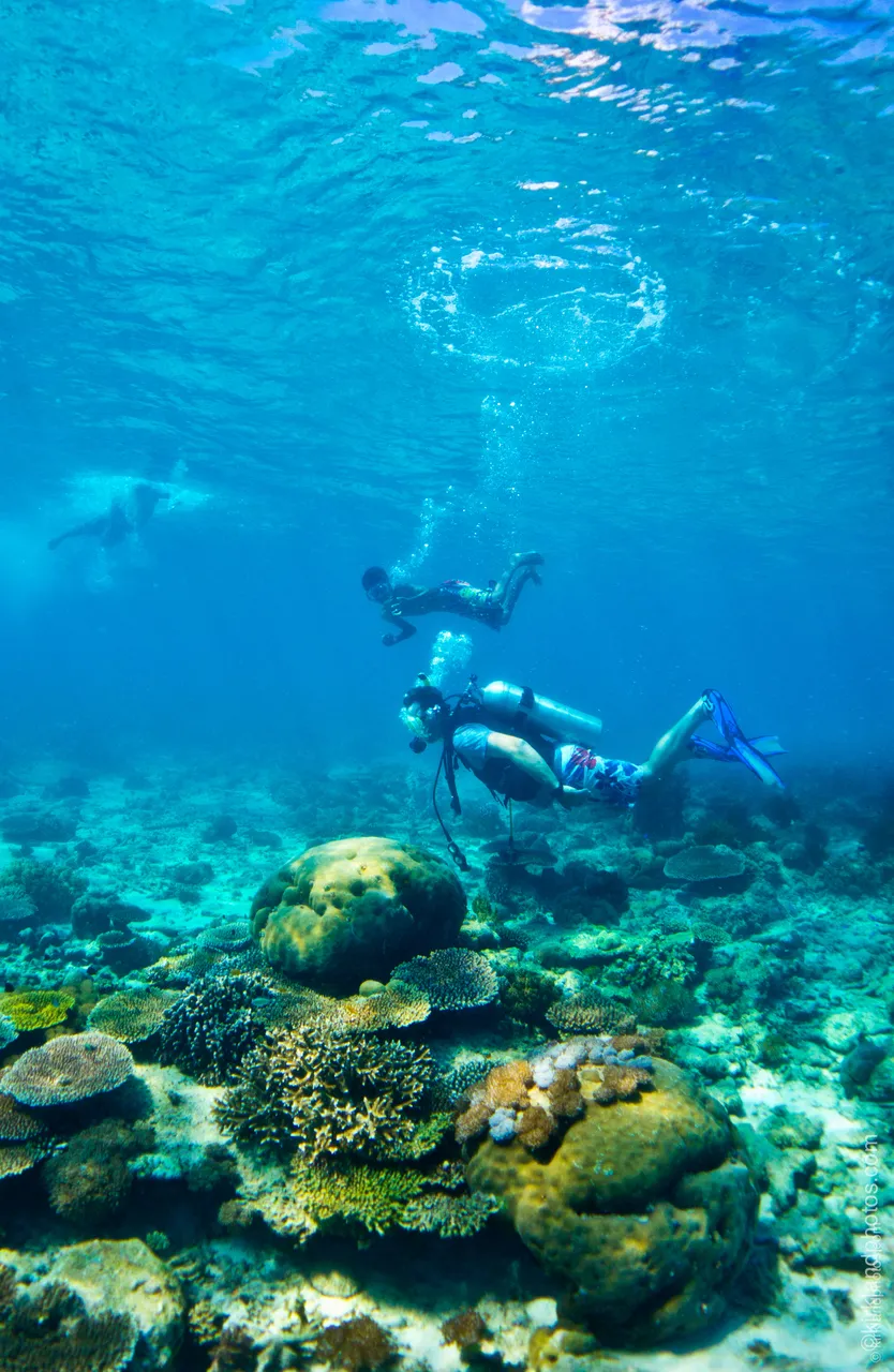 SPTO-(TIMOR)_032_DK_2013
