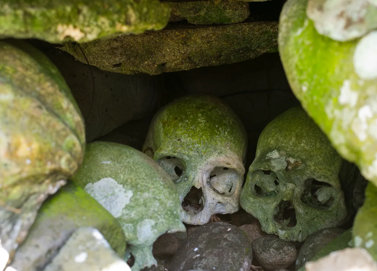 SPTO(SOLOMONS)_010_DK_2013