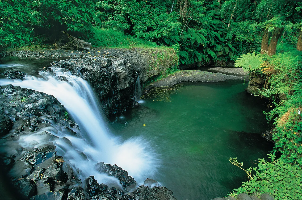 SPTO(SAMOA)_015_DK_2013