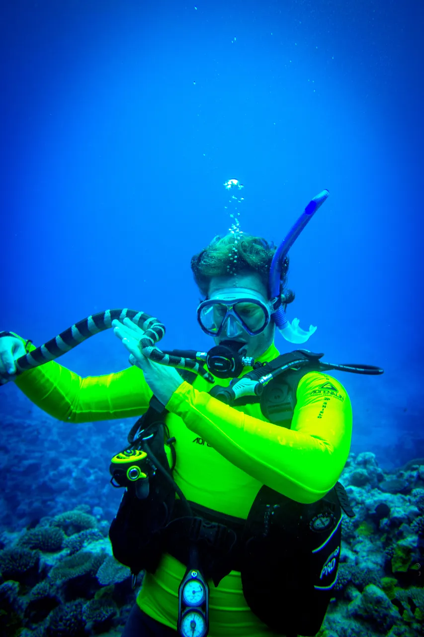 NIUE_18