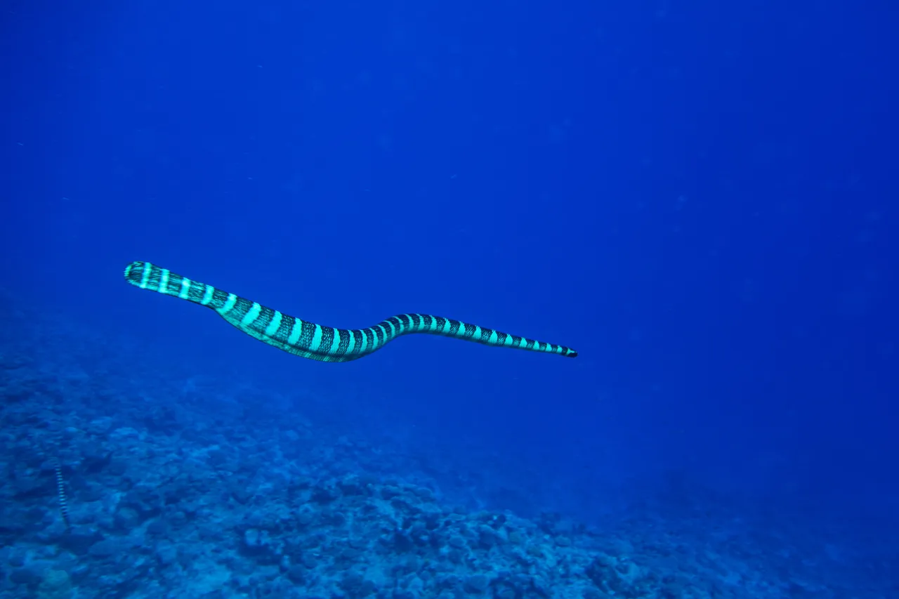 NIUE_16