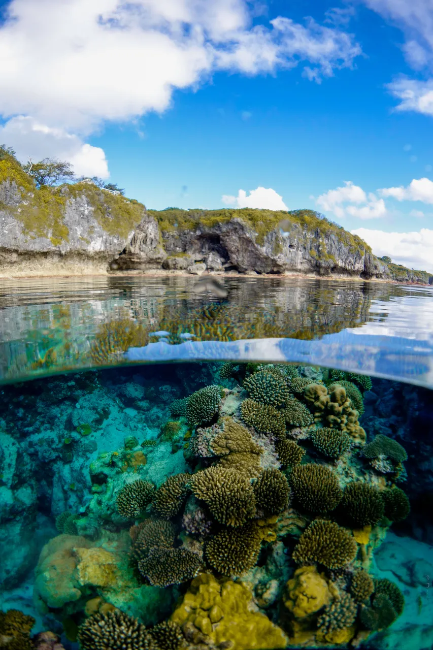 NIUE_09