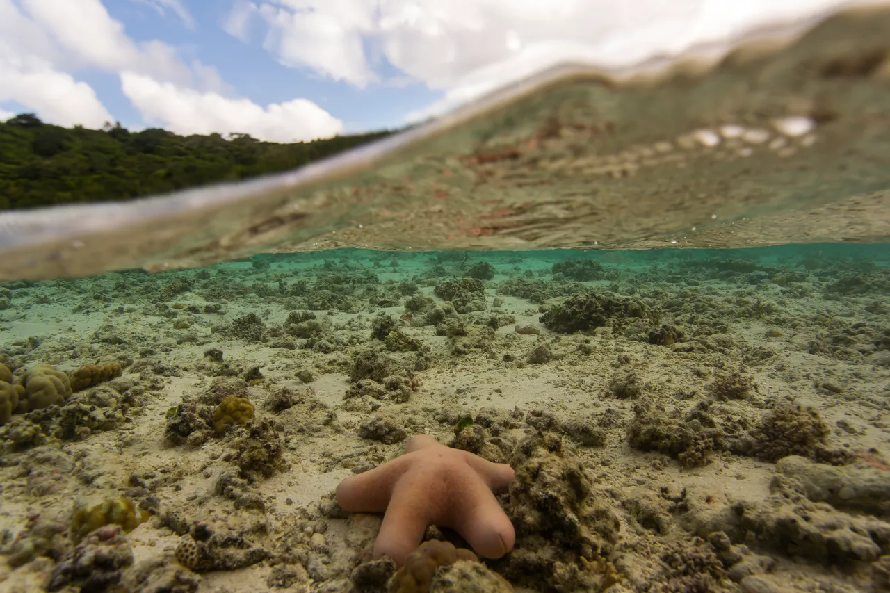 20150508-Jonathan Irish-Tonga-_99A6239