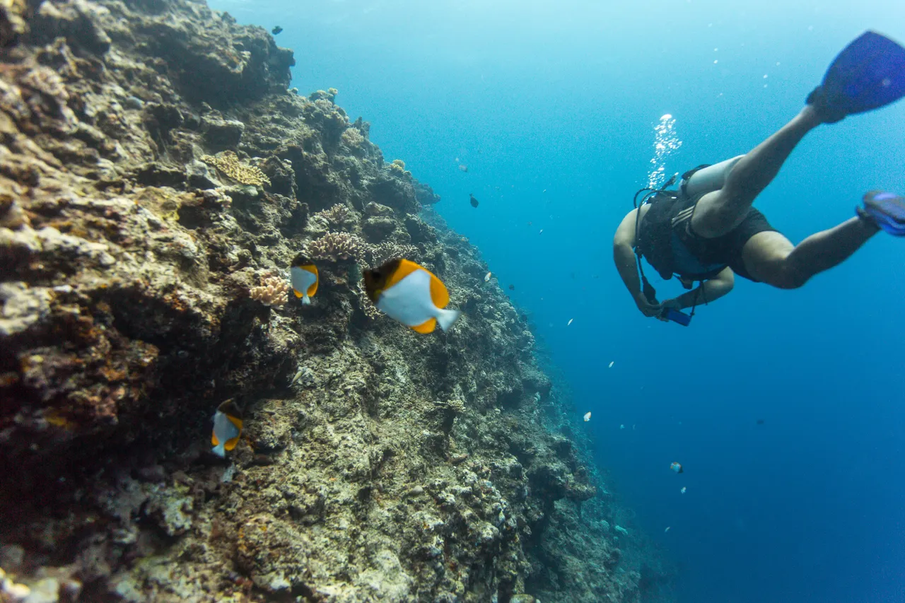 20150508-Jonathan Irish-Tonga-_99A6041
