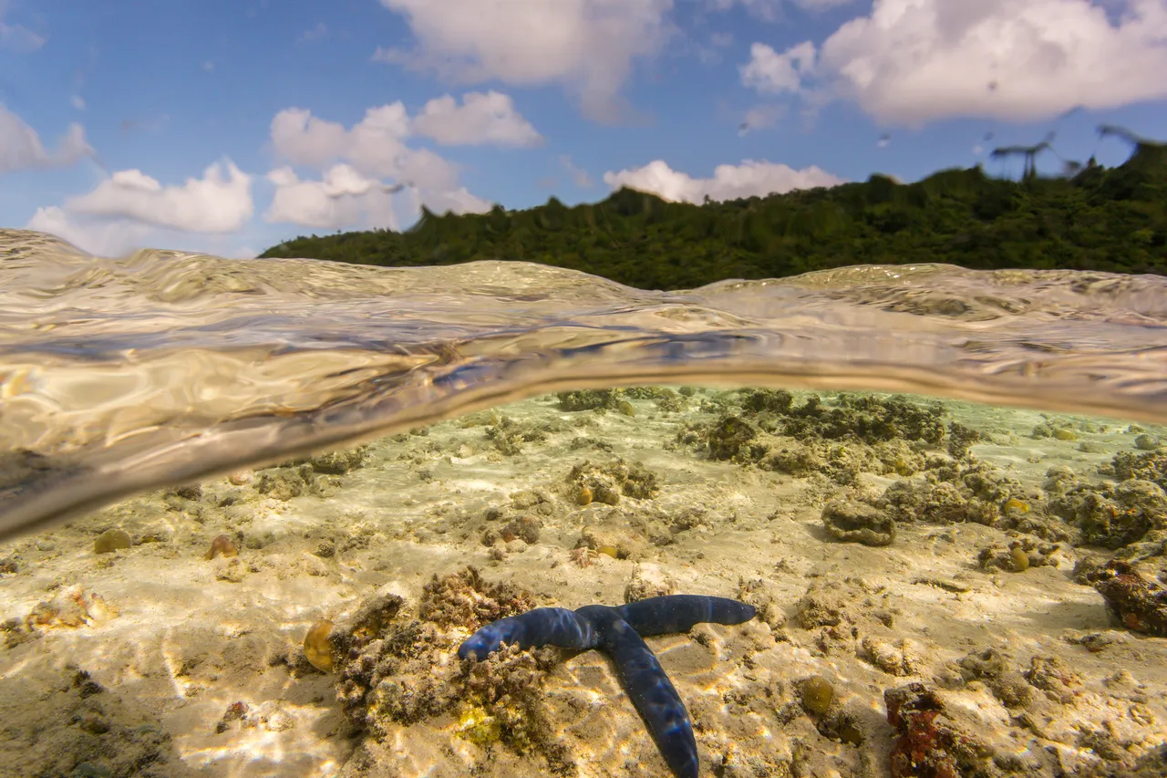 20150508-Jonathan Irish-Tonga-_99A6155