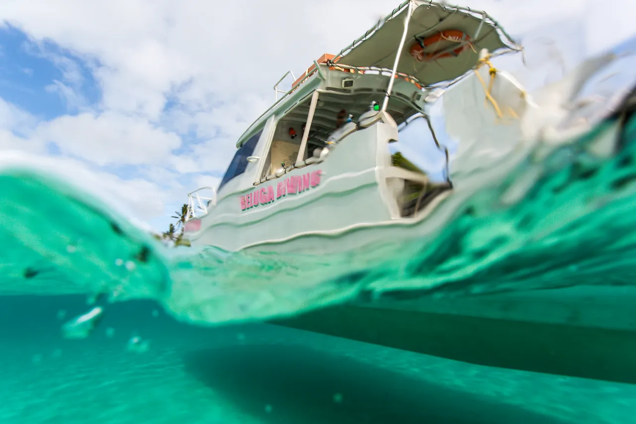 20150508-Jonathan Irish-Tonga-_99A5729