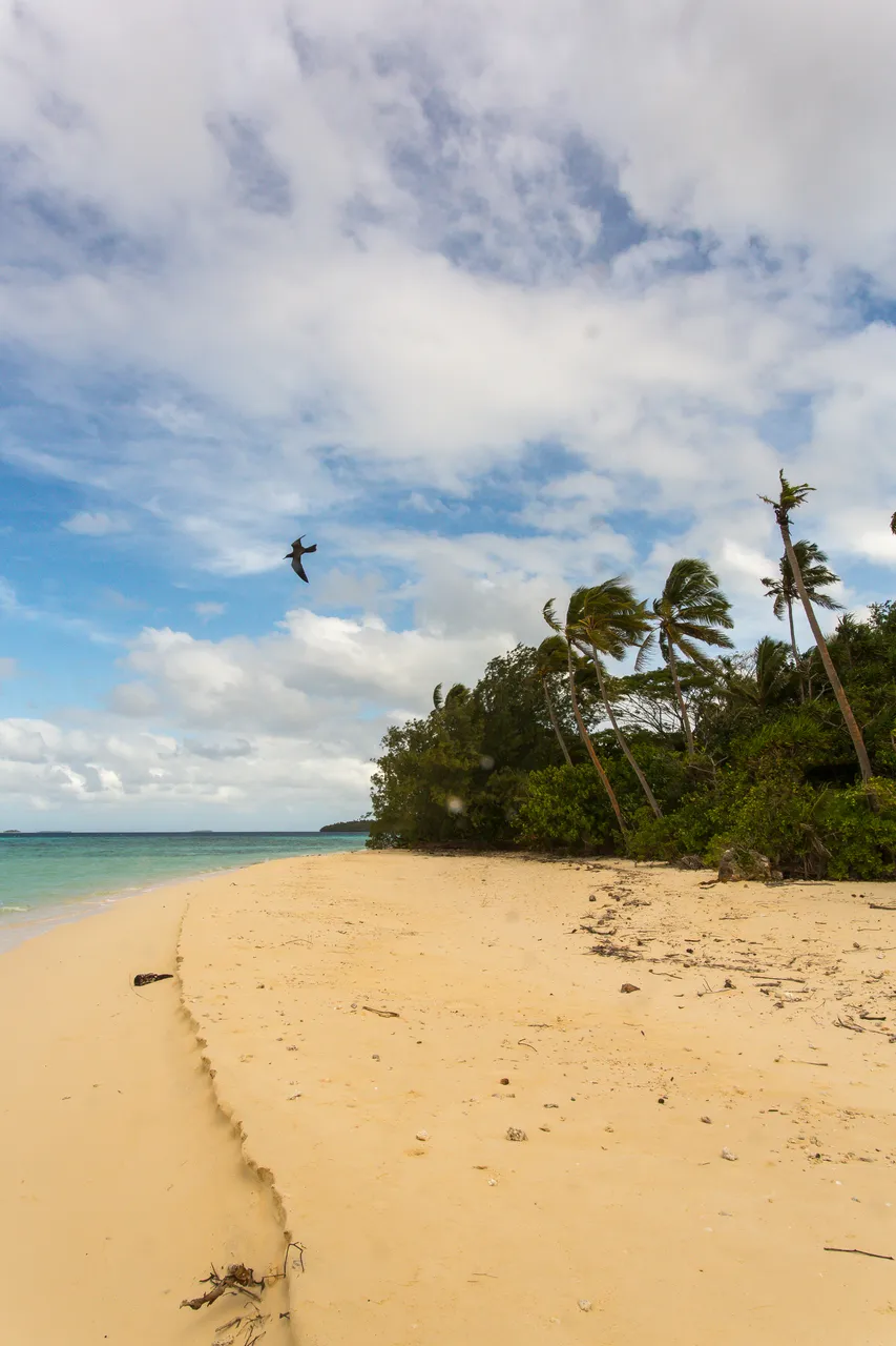 20150508-Jonathan Irish-Tonga-_99A5628