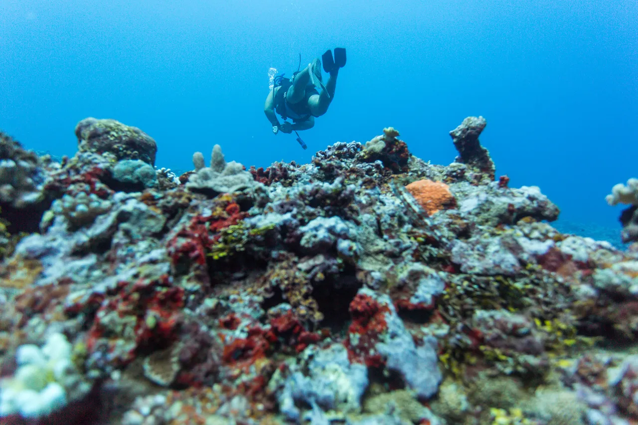 20150508-Jonathan Irish-Tonga-_99A4963