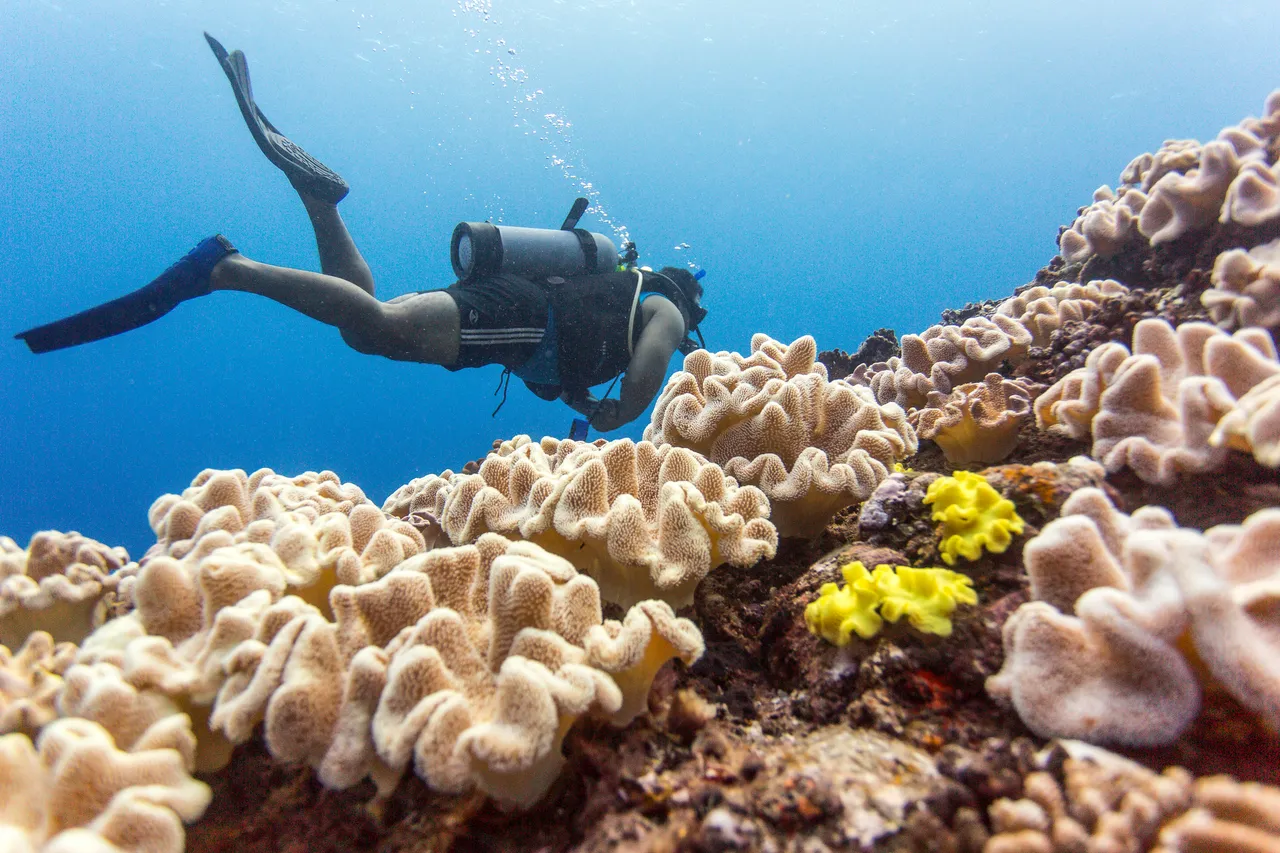 20150508-Jonathan Irish-Tonga-_99A4475