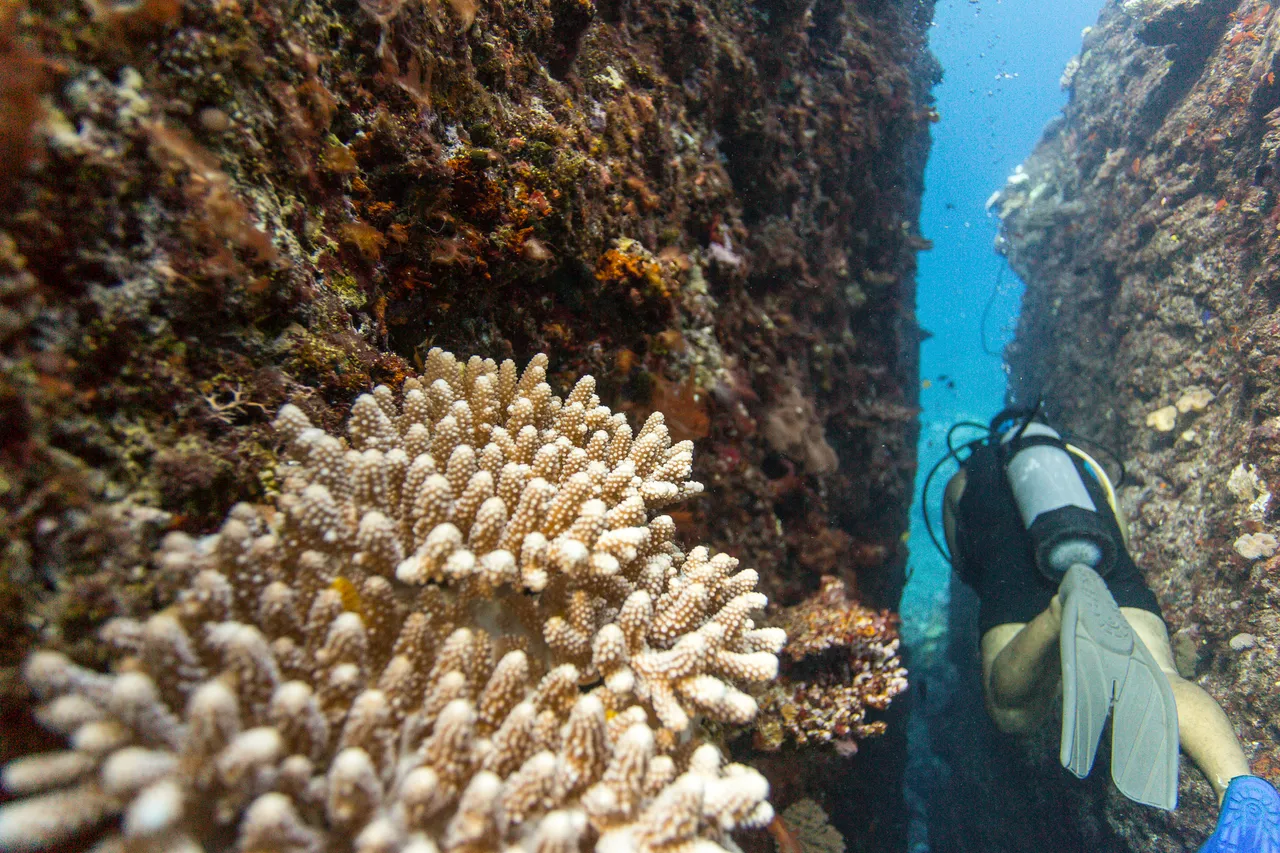 20150508-Jonathan Irish-Tonga-_99A4424
