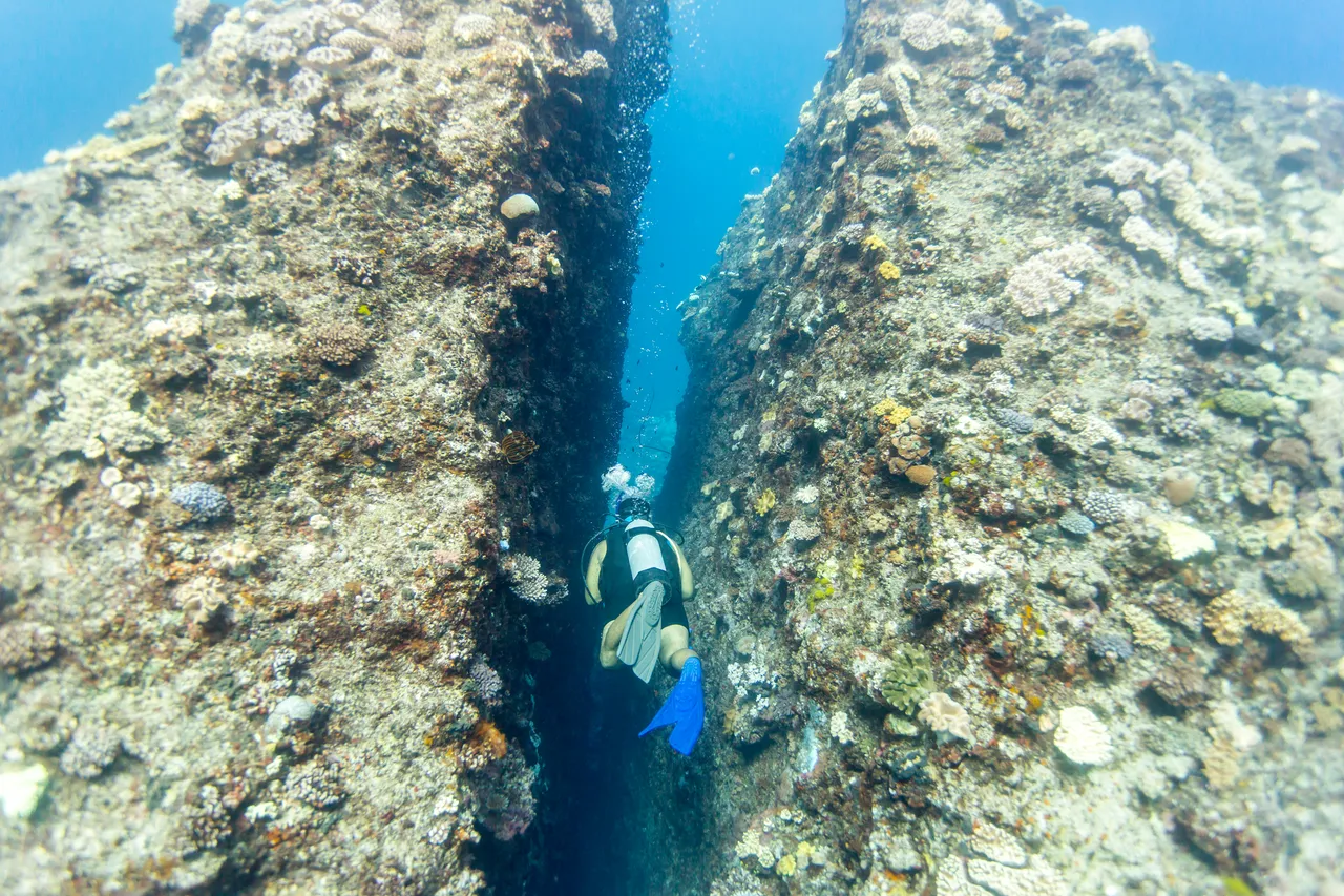 20150508-Jonathan Irish-Tonga-_99A4418