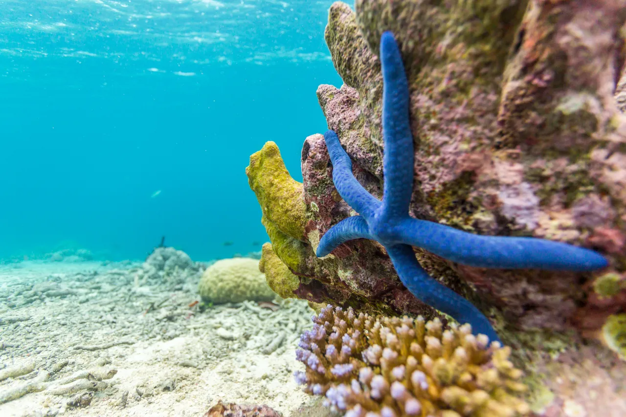 20150515-Jonathan Irish-Solomon Islands-_99A8583