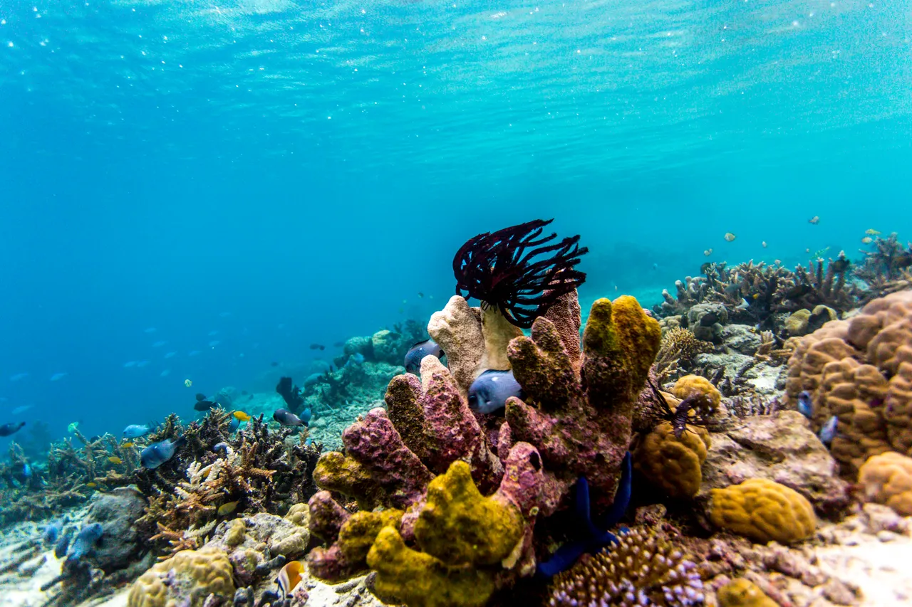 20150515-Jonathan Irish-Solomon Islands-_99A8227