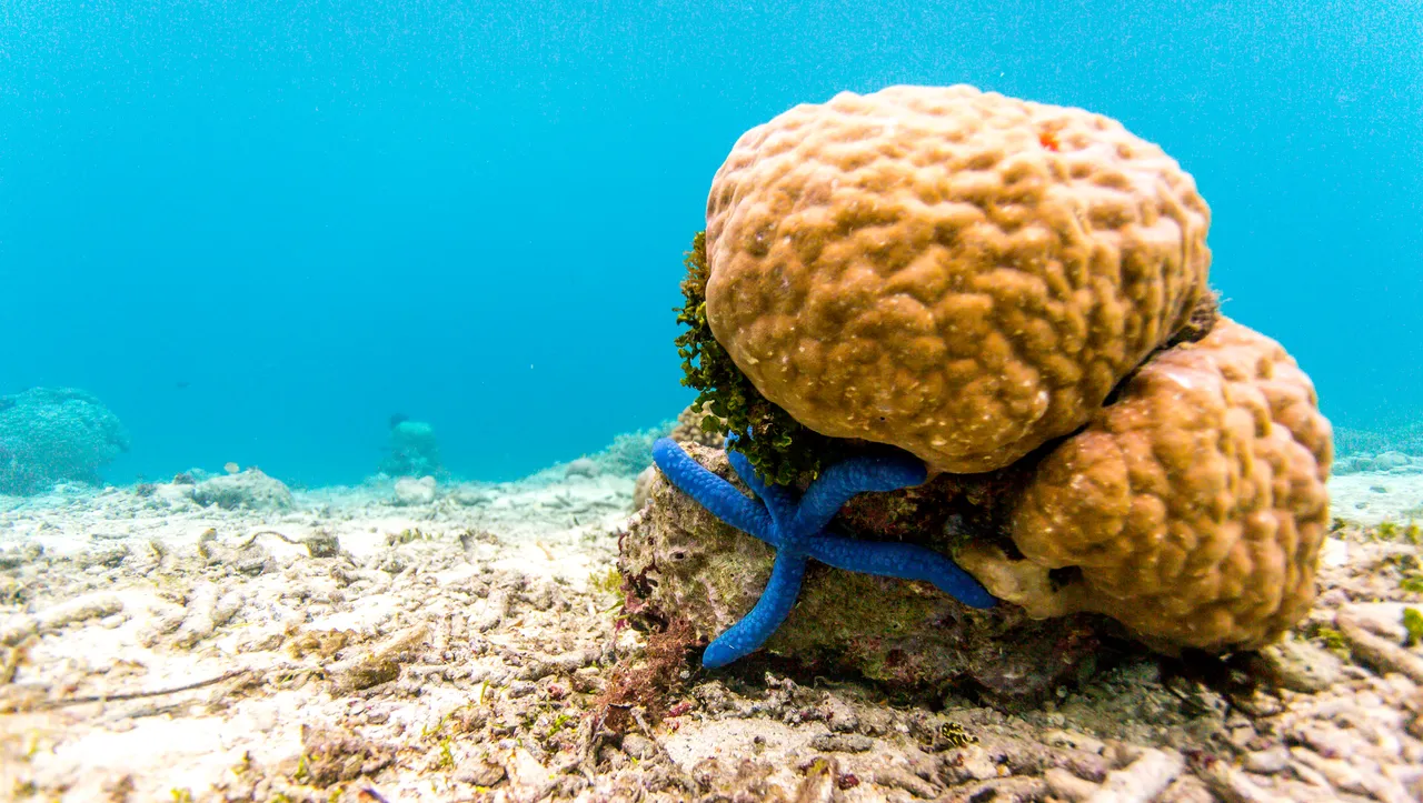 20150515-Jonathan Irish-Solomon Islands-_99A8224