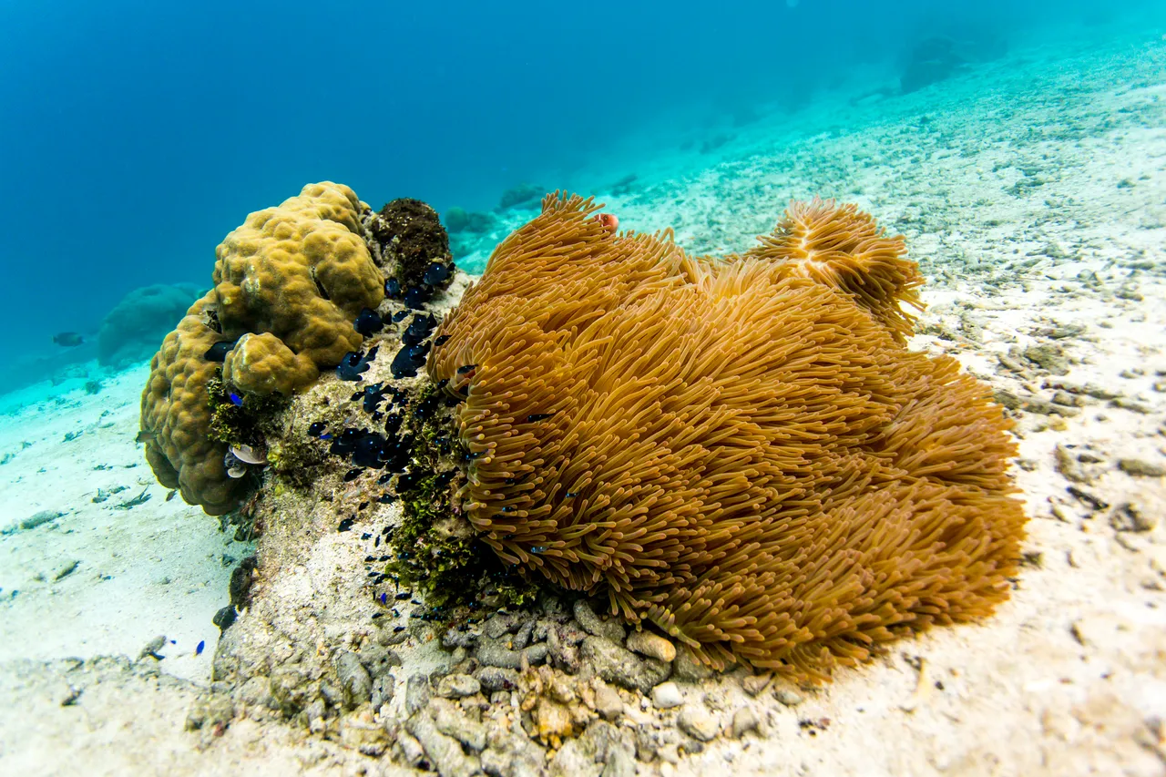 20150515-Jonathan Irish-Solomon Islands-_99A8205