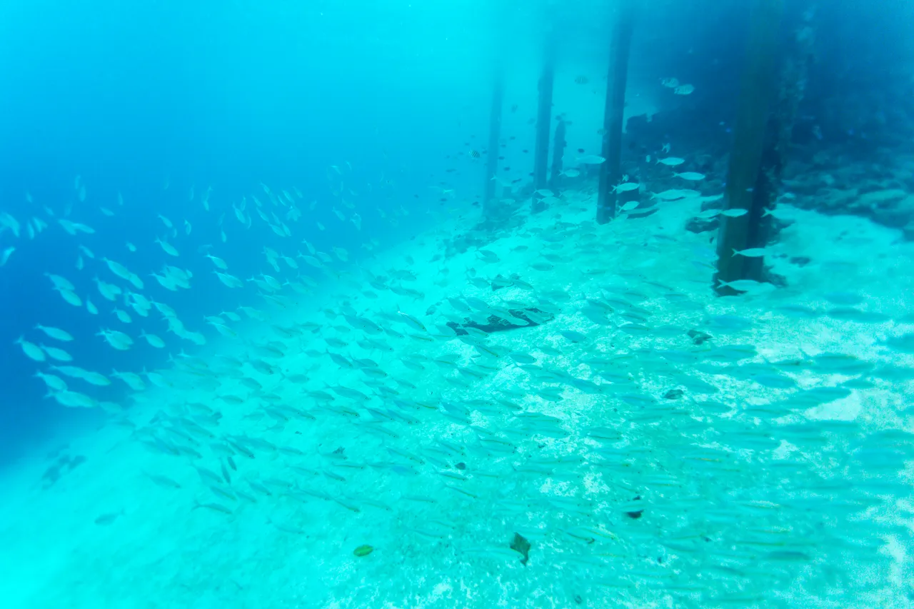 20150515-Jonathan Irish-Solomon Islands-_99A8174