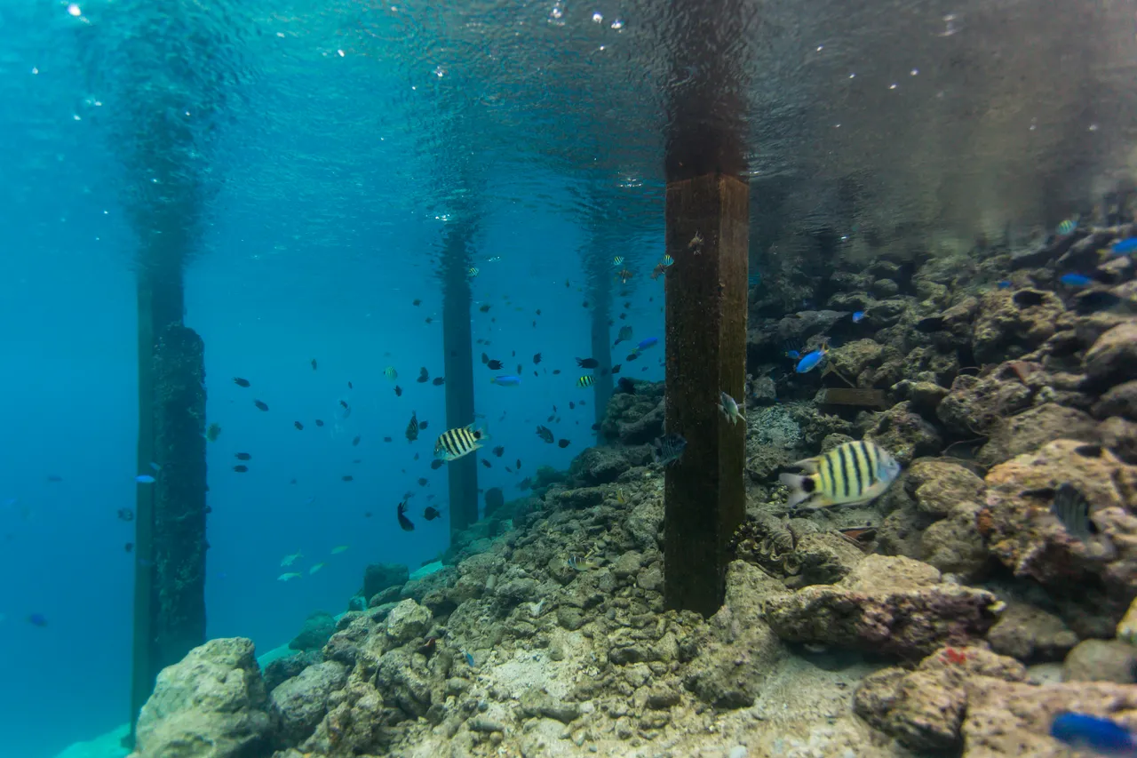 20150515-Jonathan Irish-Solomon Islands-_99A8158