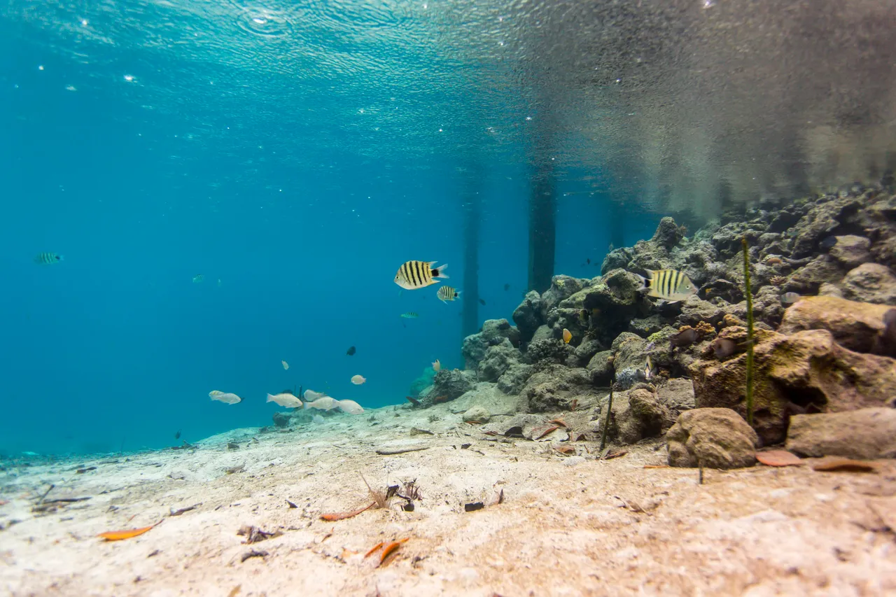 20150515-Jonathan Irish-Solomon Islands-_99A8144