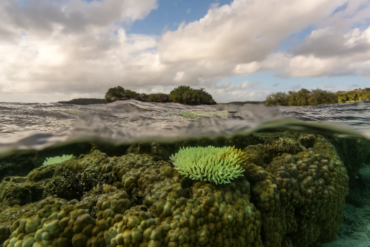 20150508-Jonathan Irish-Tonga-_99A6483