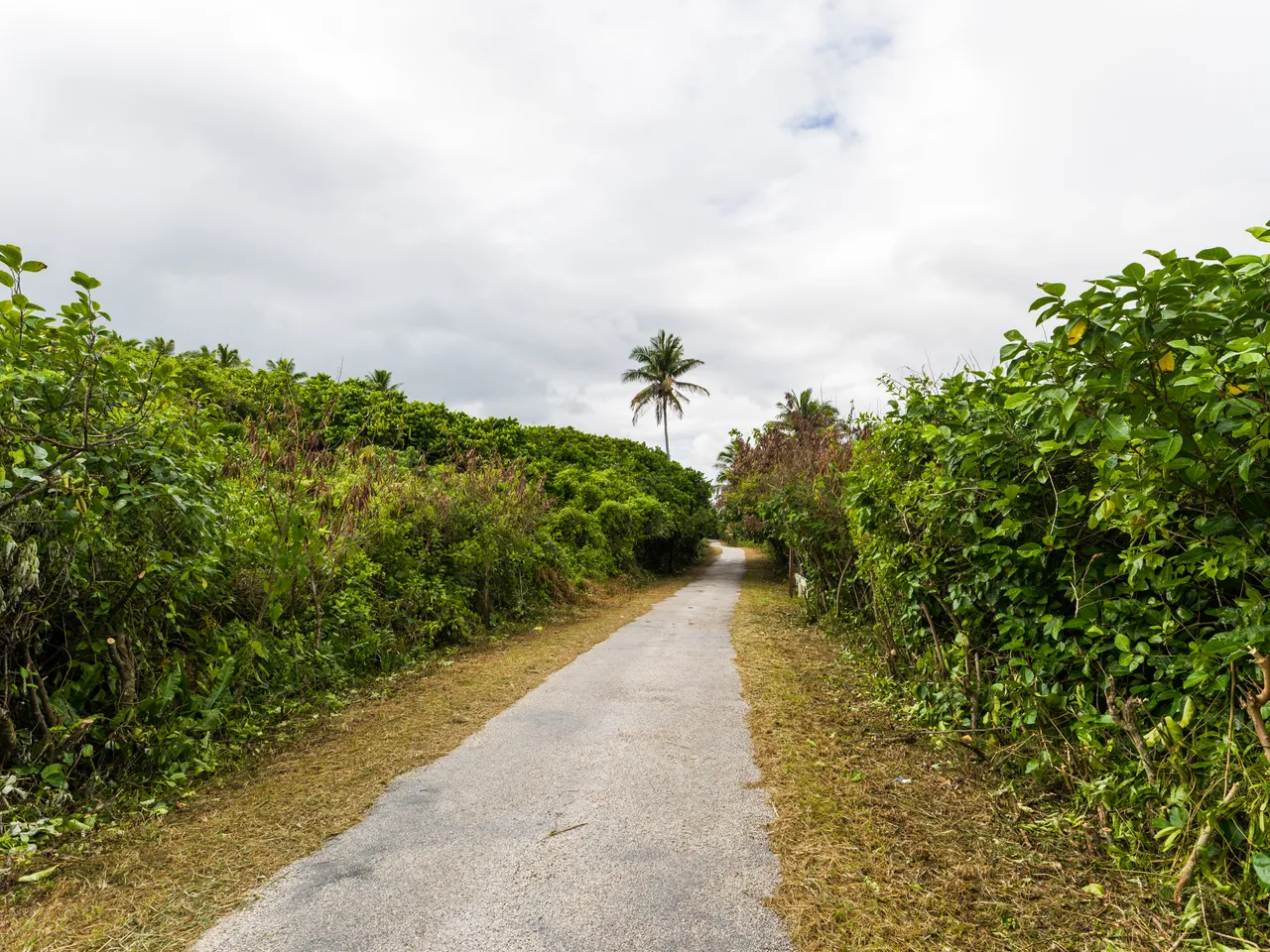 20150520-Jonathan Irish-Niue-_IMG8398