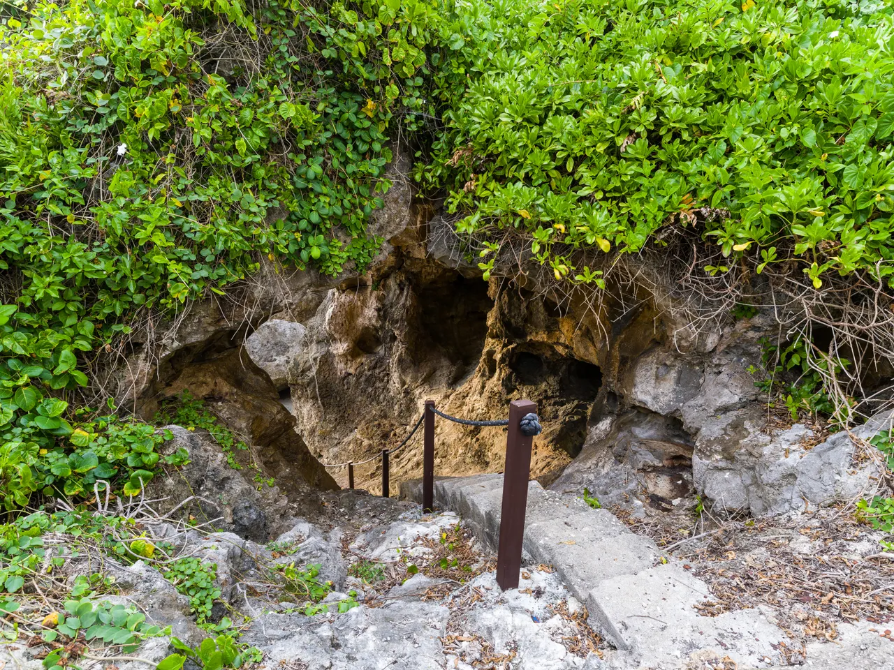 20150520-Jonathan Irish-Niue-_IMG8327