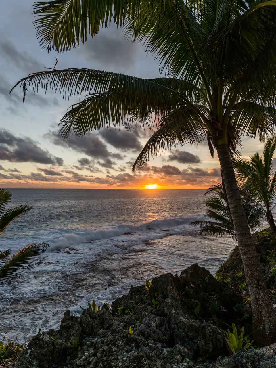20150519-Jonathan Irish-Niue-_IMG8119