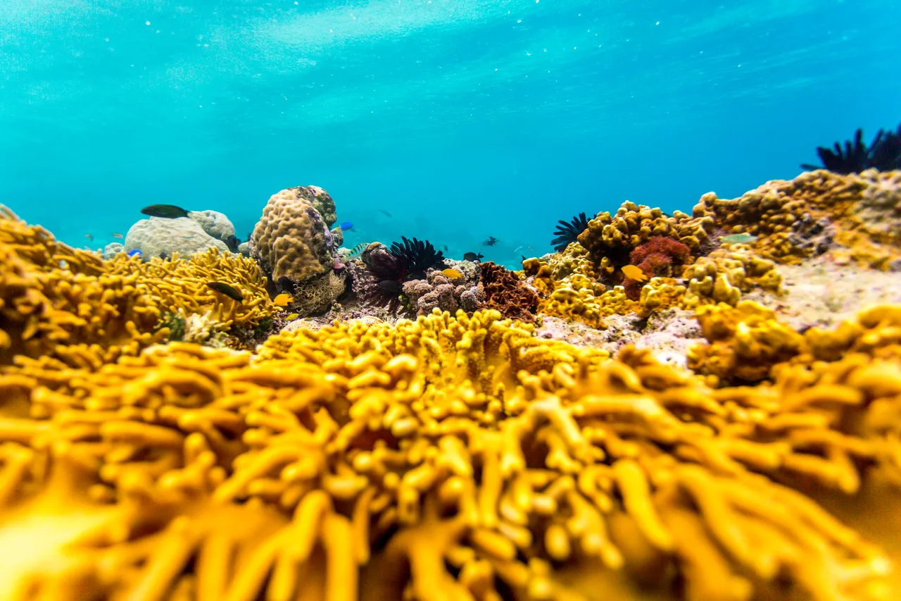 20150515-Jonathan Irish-Solomon Islands-_99A8255
