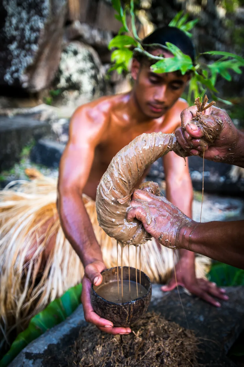 SPTO (POHNPEI)_018_DK_2013