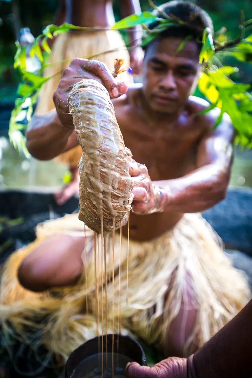SPTO (POHNPEI)_016_DK_2013