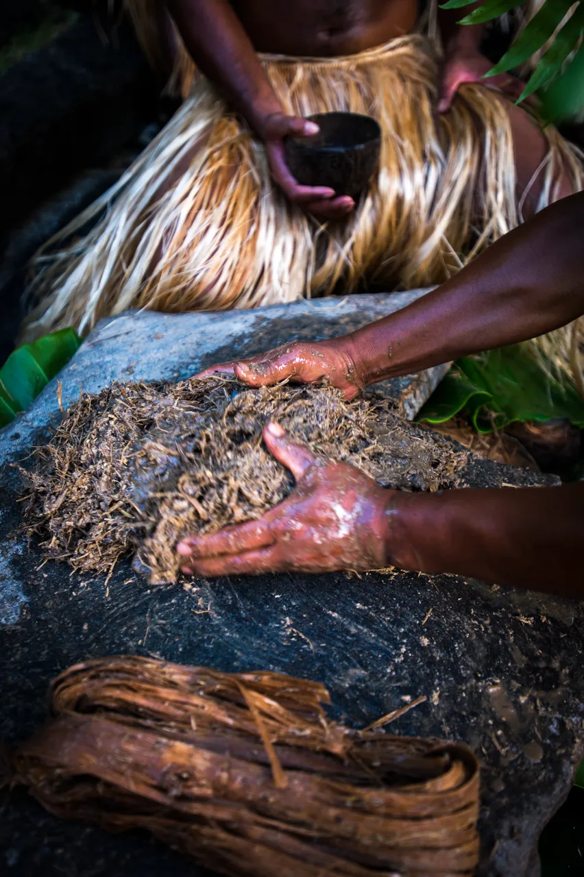 SPTO (POHNPEI)_017_DK_2013