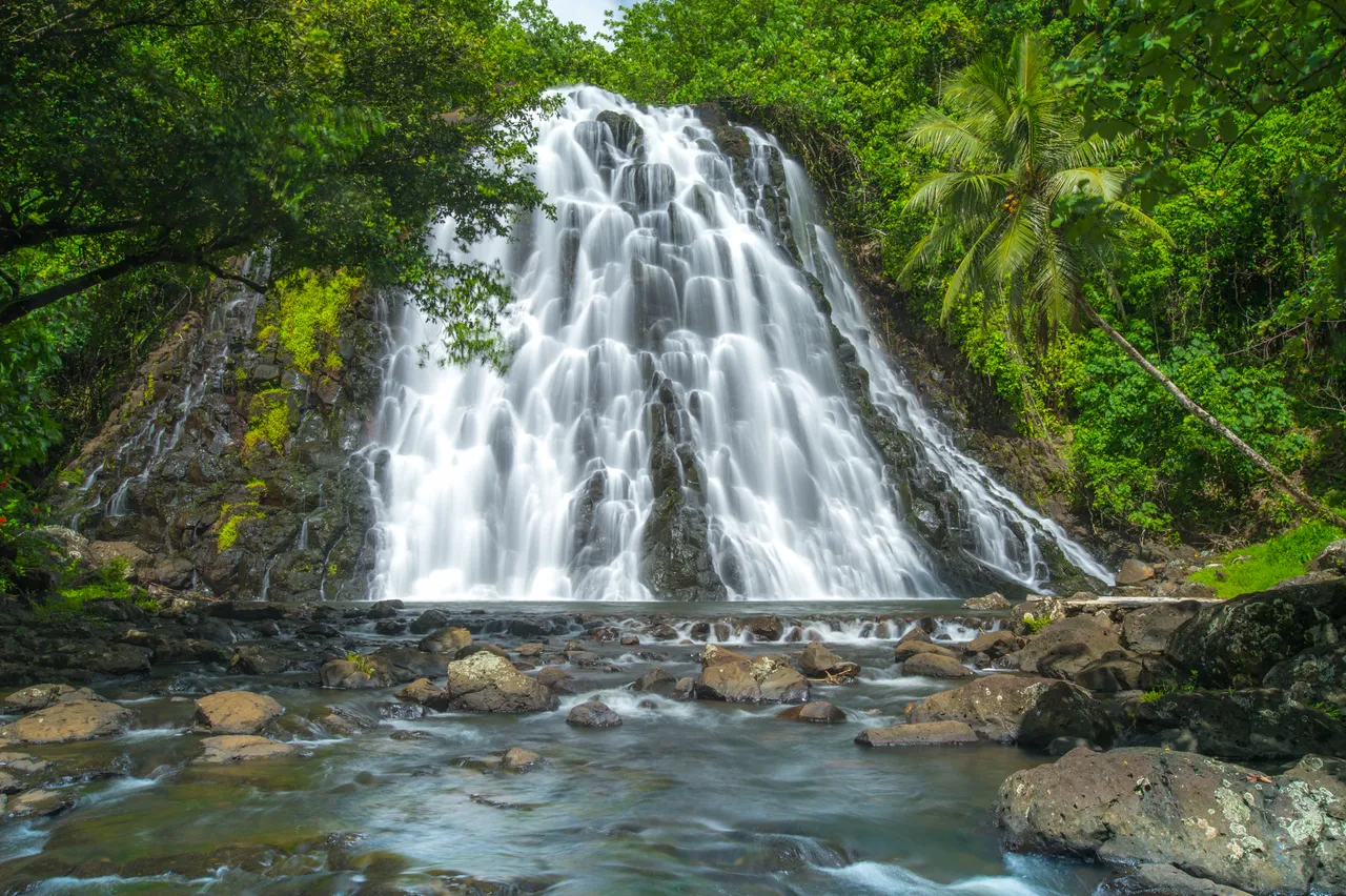 SPTO (POHNPEI)_012_DK_2013