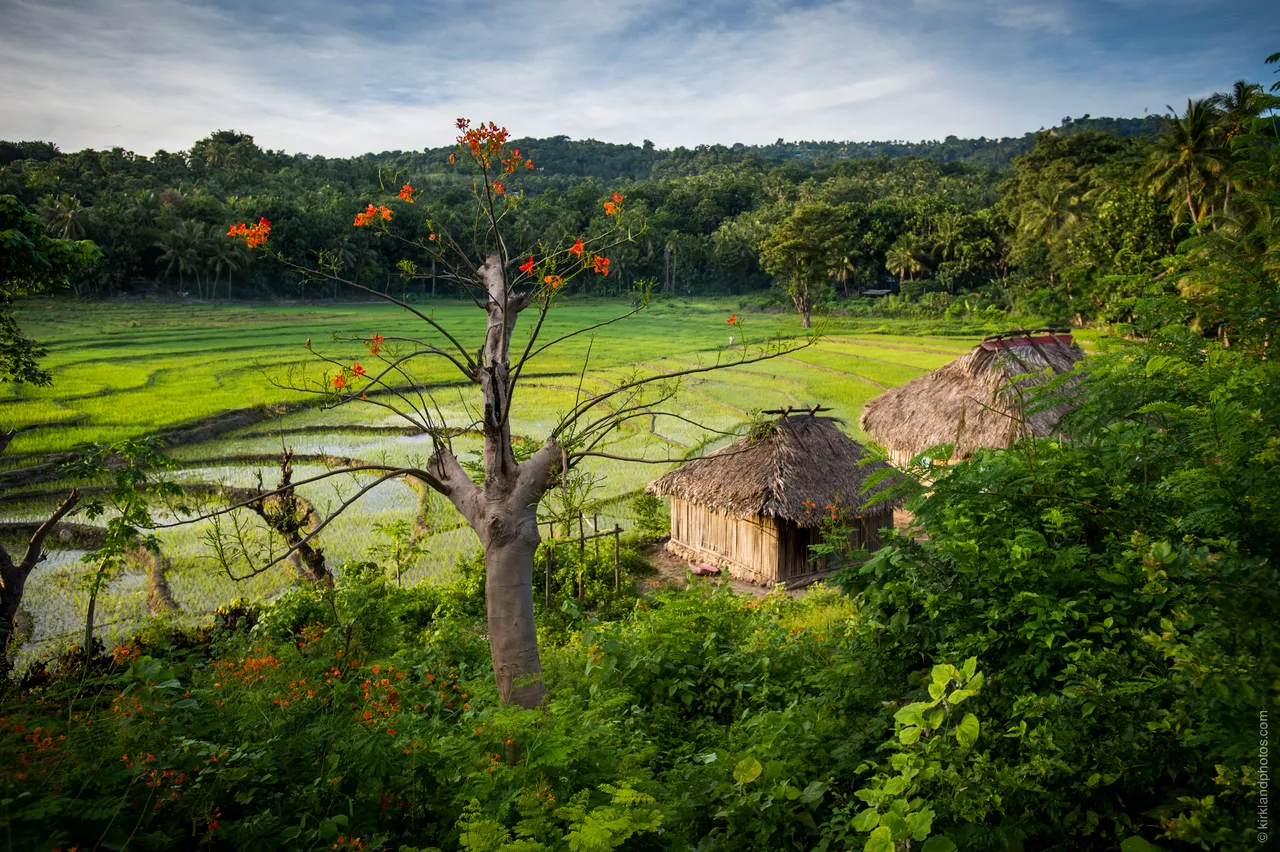 SPTO(TIMOR)_023_DK_2013