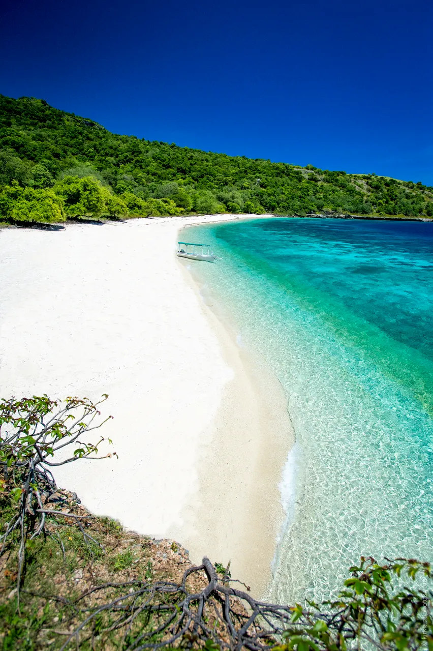 SPTO(TIMOR)_011_DK_2013