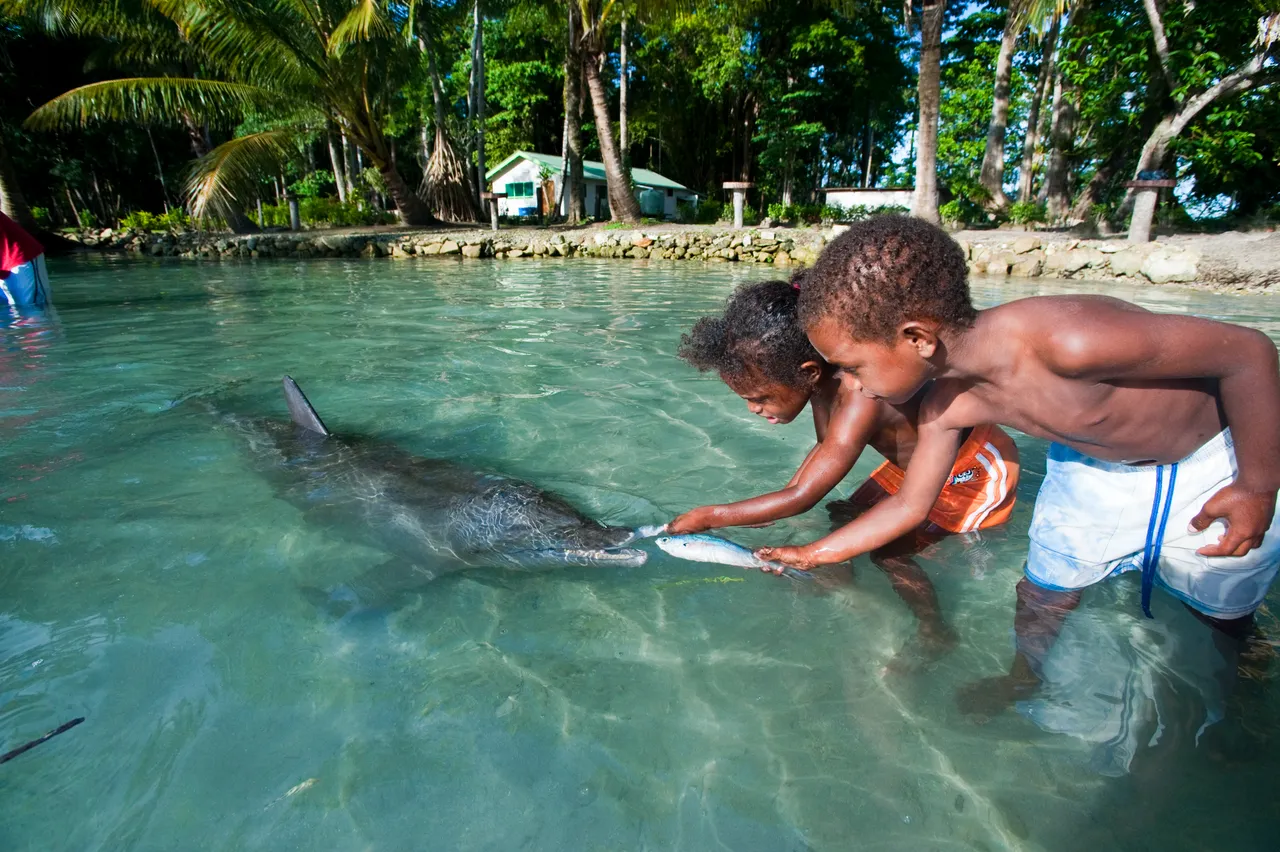 SPTO(SOLOMONS)_034_DK_2013