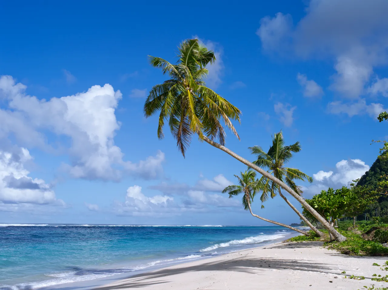 SPTO(SAMOA)_036_DK_2013