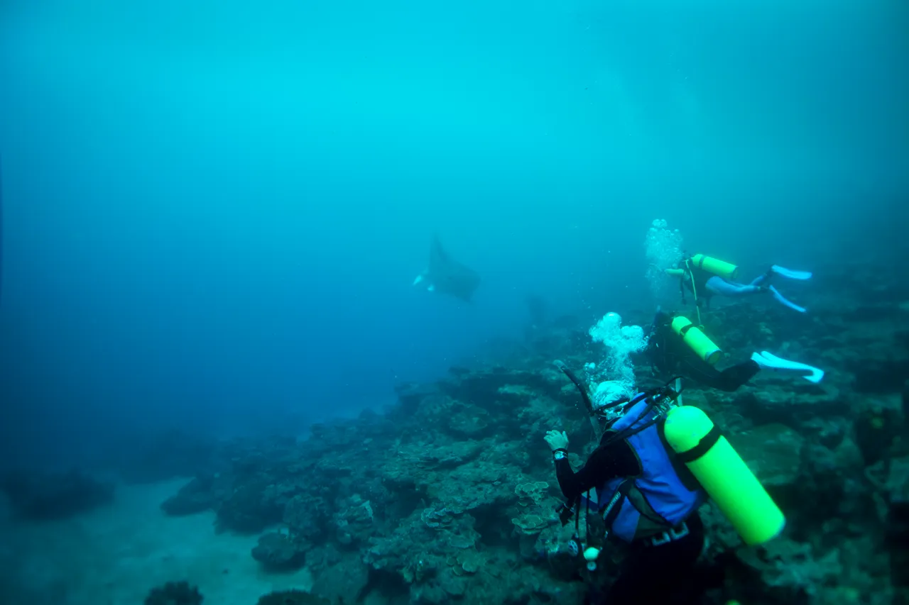 SPTO (POHNPEI)_008_DK_2013