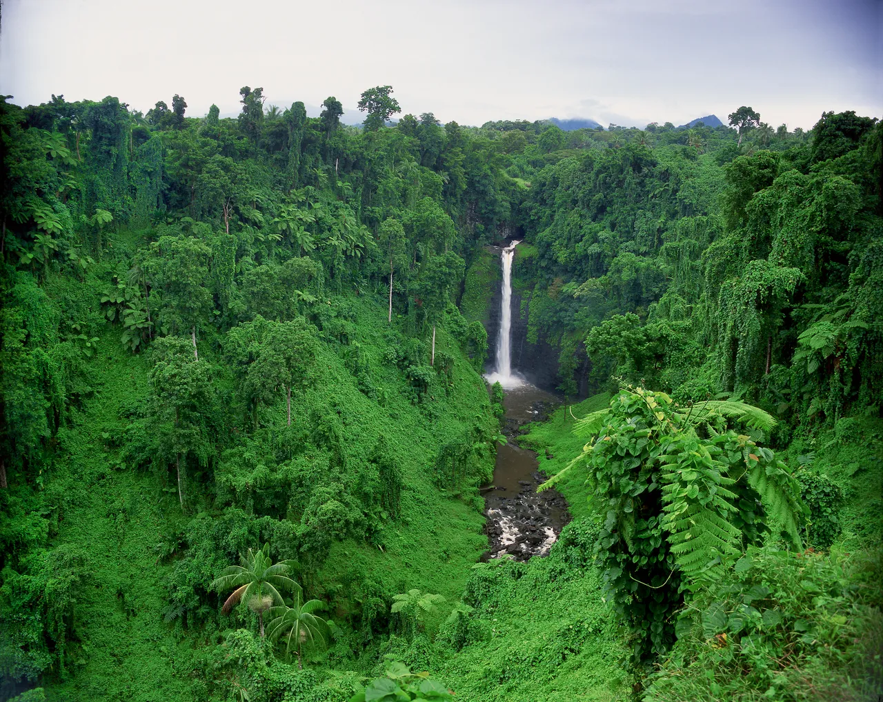 SPTO(SAMOA)_023_DK_2013