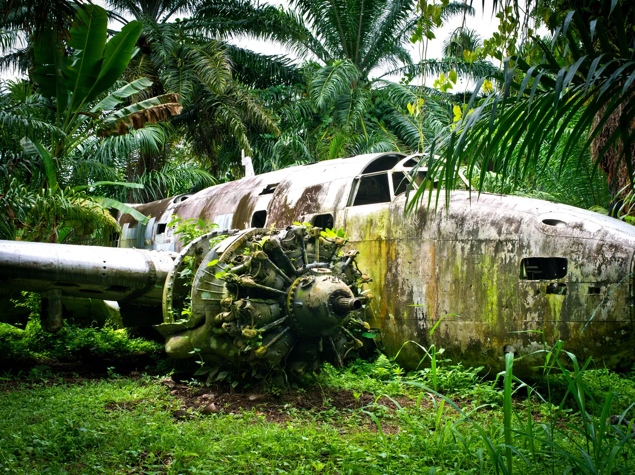 SPTO(PNG)_021_DK_2013