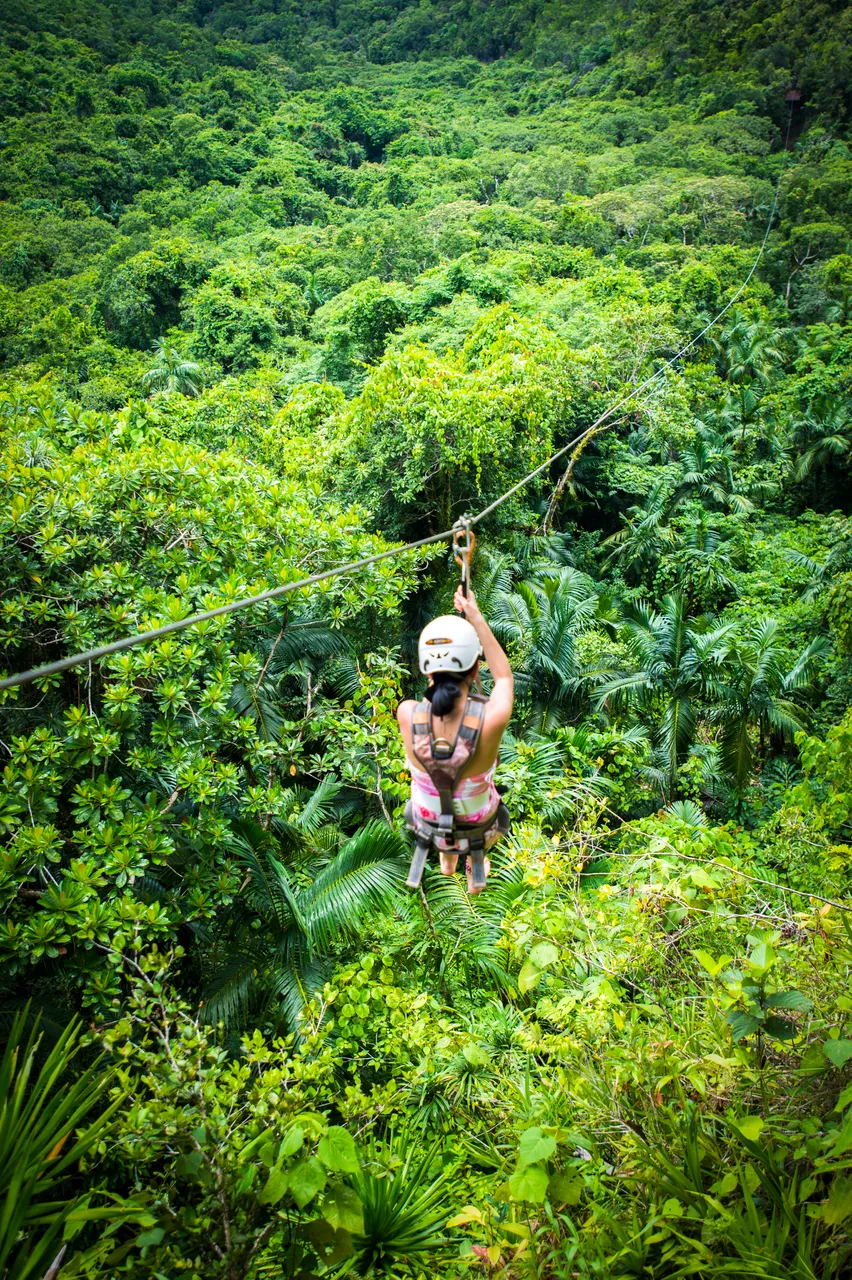 SPTO(PALAU)_020_DK_2013