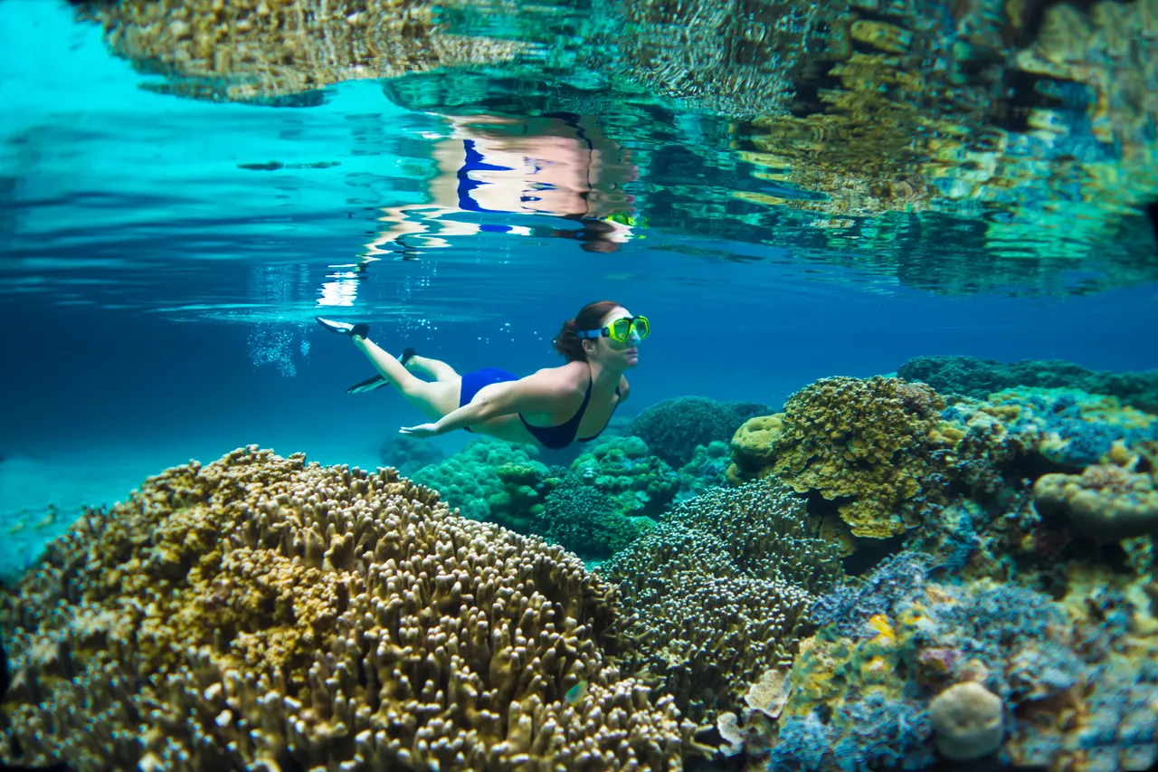 SPTO(PALAU)_016_DK_2013