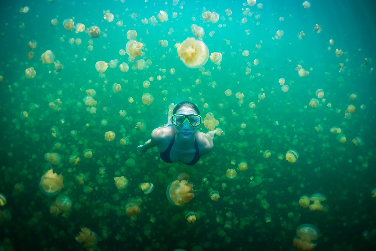 SPTO(PALAU)_012_DK_2013