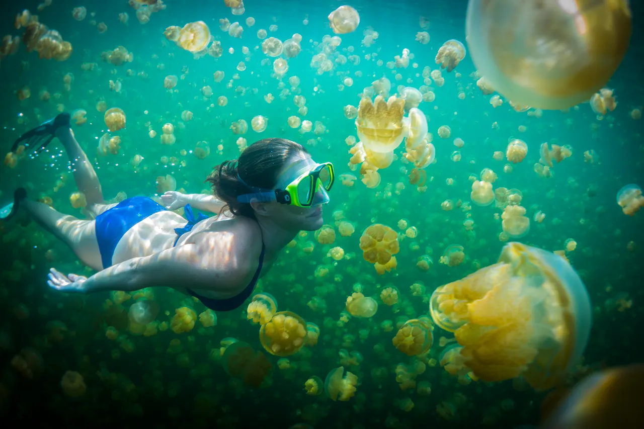 SPTO(PALAU)_014_DK_2013