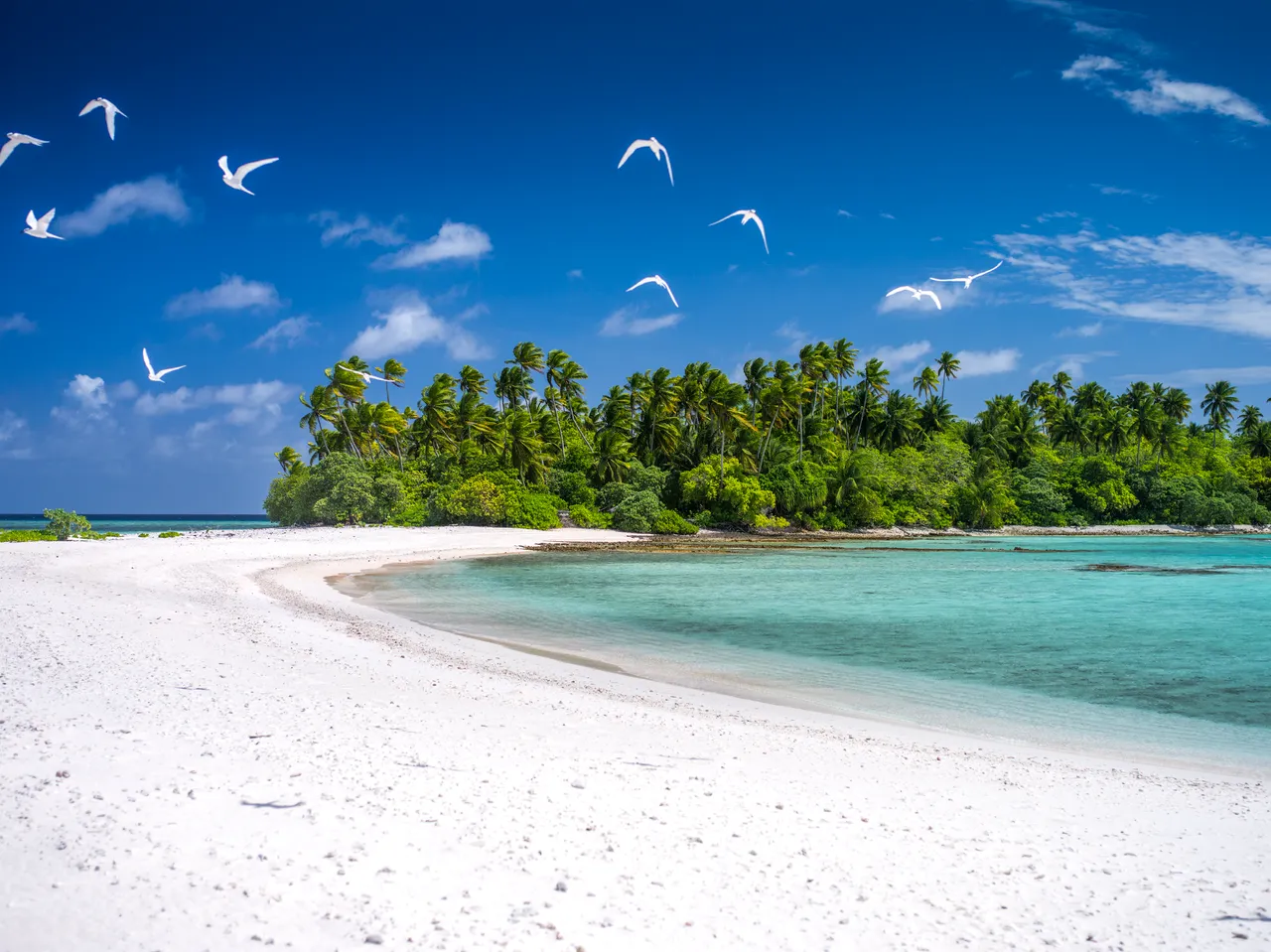 SPTO(KIRIBATI)_011_DK_2013