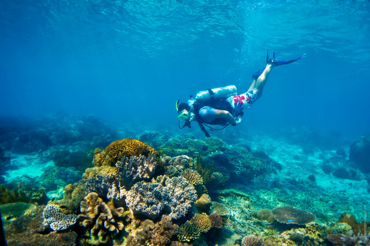 SPTO (TIMOR)_031_DK_2013