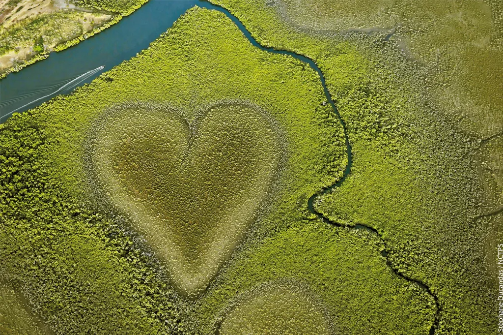 Heart of Voh