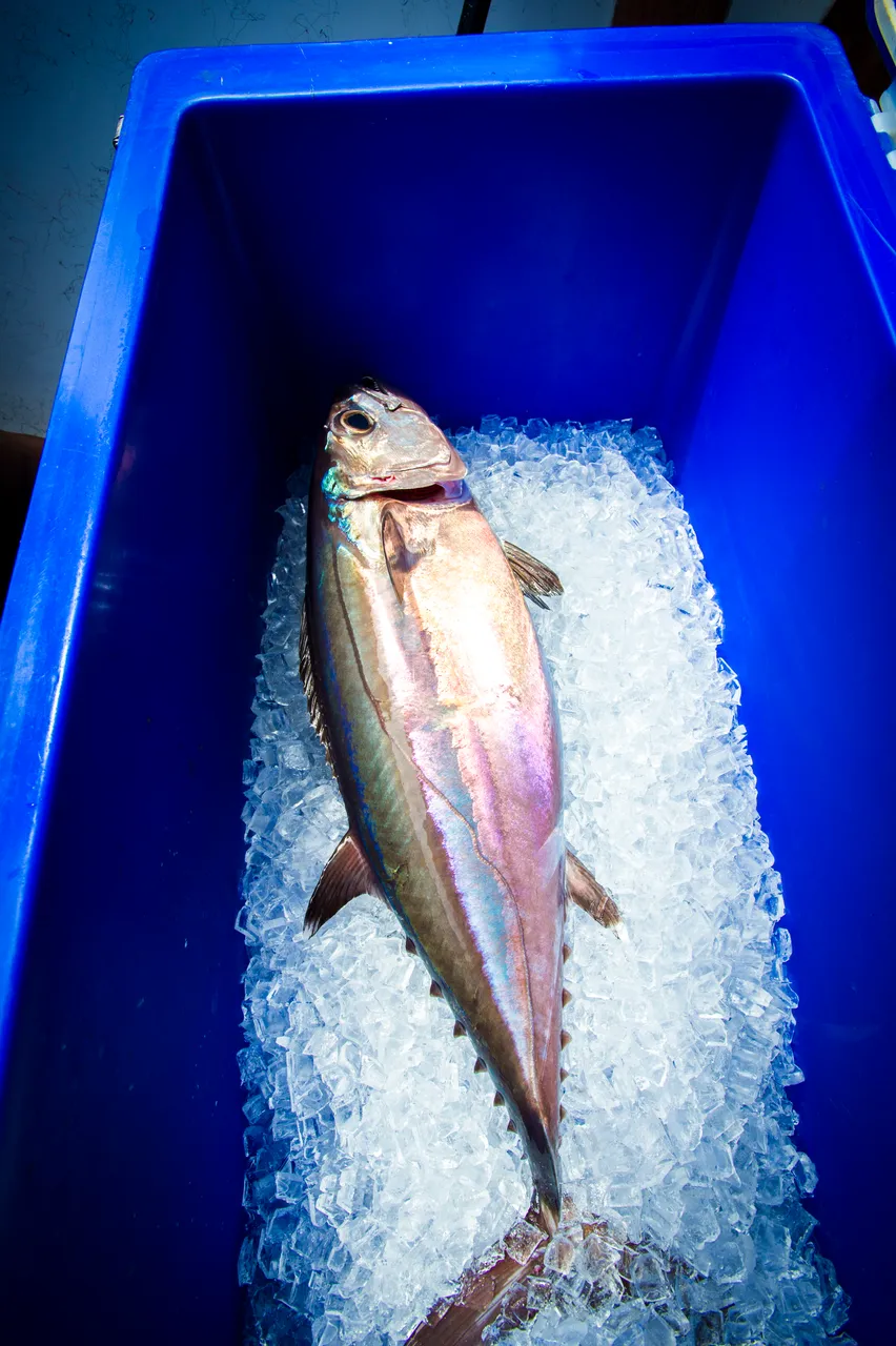 SPTO_NAURU_024_DK_2013