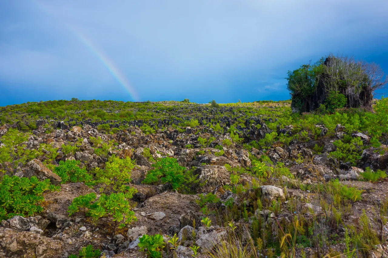 SPTO_NAURU_008_DK_2013