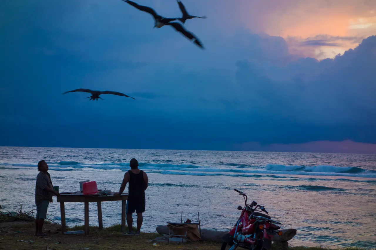 SPTO_NAURU_007_DK_2013